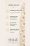 Ysx Gold Zircon Stone Comma Bracelet 19 cm – Gold Plated Stylish Women's Bracelet for Daily and Special Occasion Jewelry - 5