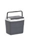 Picnic Icebox