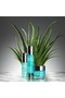 Cfm Water Gel 50 ml - 5
