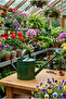 Metal Watering Can 8 Lt - Garden Flower Plant Watering Can Container with Strainer - 3