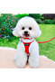 Plush Dog Collar Set – Soft Cat and Dog Leash, Walking Rope and Collar Set