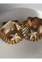 Gold Color Sea Shell Earrings (3.5 cm)