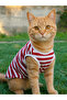 Cat Athlete Striped Summer Cat Outfit - Size XS