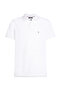 White Men Polo - 5