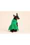 Fisto Green Small Breed Dog Dress