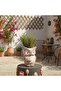 Owl Magnesia Planter 20x18.3x26cm - Brown