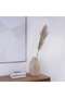 Natural Dried Pampas Grass 110cm - Natural - 4
