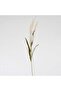 Foxtail Artificial Spray 25.4x5.08x129.54cm- White - 3