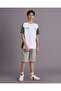 Senior Boys Green Shorts - 5