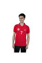 Men Slim World Cup Cotton Stretch Polo