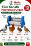 Pigeon Chicken Quail Feeder 15 cm Metal Winged Feeder 10 Pieces - 3