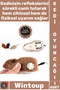 # Cattoy Moving Interactive Reflex Mental Stimulation Wind-Up Mouse Stylish Cat Training Toy