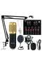 Condenser Microphone BundleMic Kit with Live Sound Card, Adjustable Mic Suspension Scissor Arm