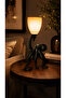 Animals Octopus Aydınlatma