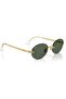 Uv Protected Sunglasses 54 Ekartman (Rb 3929 001/71) - 4