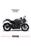 ملصق مطلي مصنوع من مادة الفورجيد لـ Bajaj RS200، ملصق جانبي أيمن وأيسر للموديل - 2