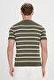 Men's Khaki-Ecru Standard Fit Regular Cut Crew Neck Striped Knitwear T-Shirt - 4
