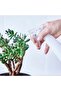 Trigger Spray Bottle, Clear White, Plastic, Cone Shape, Refillable for Cleaning and Hair Care - 5