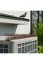 Pack Of 1 Bird Spikes Deterrent Strip, Brown, Plastic, Pigeon Repellent for Ledges and Fences, Raccoon Cats Defender for Outside - 6