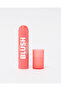 Glowy Blusher Stick Tropic Heart Cream Blush with Luminous Natural Glow 8g - 2