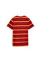 Galatasaray Ftblculture Youth T-Shirt - 2