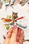 Anatolian Birds 25 Piece Sticker Pack Waterproof Laptop Thermos Phone Sticker Set - 6