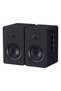 Boxă Sp-250 Clasic Negru