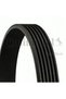 Curea Poly-V Continental 6PK2160 - 2