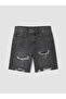 Lcw Jeans Anthracite Regular Fit Men's Jean Shorts - 4
