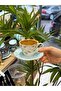 6-Person Eloıs Coffee Cup 90 Cc - 5