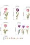 Flower Wall Stickers for Girls Room: Peel and Stick Pink Wildflower Tulip Floral Wall Decals - Baby Nursery Girl Bedroom Living Room Home Art Wall Decor - 4