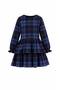 Girl's Navy Blue Plaid Ruffled Long Sleeve Dress and Crown - 5