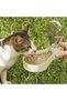 Portable Travel Dog Water Bottle & Food Container, leak-proof pet water dispenser with treat storage. - 3