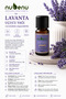 Lavender Essential Oil 100% Pure 10 ml - 2