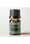 5ml Sage Essential Oil Salvia Officinalis Sage Essential Oil Bitter Apple Oil 100% Pure Natural - 4