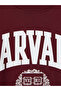 Burgundy Harvard Printed Women's Thick Sweatshirt - 2