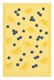 Aura Traditional Patterned Modern Woven Base Decorative Carpet Aura1433