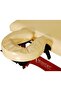 Caribbean/Vista Portable Massage Bed, Spa Lash Foldable 2 Section Bed with Wooden Legs Carrying Bag, Length 184cm, Width 71cm, Height Adjustable 60 to 86 cm, Weight 17kg(table only) - 4