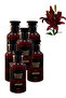 6 قطع من عطر نايت كود 100 مل