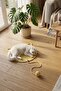 Pet Handmade Cat Scratching Mat with Toys, 100% Cotton Rope, Light Yellow - 3