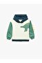 Long Sleeve Cotton Dinosaur Printed Hooded Sweatshirt