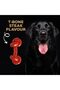 Nylon Knotted Bone, T-Bone Steak Flavor - 5