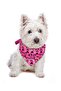 Adjustable Printed H-Type Chest Harness Set with Scarf - 2