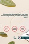 7 Days Mask Green Tea S - Sebum Control & Pore Purifying Vegan Paper Mask - 7