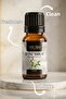 White Soap Essential Oil 10 ml – Clean, Fresh, and Long-Lasting Soap Fragrance - 2