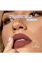 - Color-Locker Matte Lip Colorant 2.3 g - 3