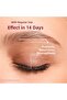 Eyebrow and Eyelash Serum 20 ml – Nourishing, Strengthening, and Volumizing Care Serum - 2
