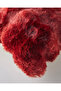 Terra Plush Cushion Cover 45X45 cm Claret Red - 2