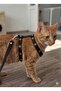 Escape-Proof, Bird-Eye-Proof, Durable, Adjustable, Cat Mini Breed Dog Harness Set Cat Harness, Cat Walking Leash, Cat Waist Leash, Cat Leash and Harness