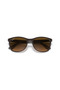 Rb 4374 6600m2 56 Polarized Sunglasses - 6